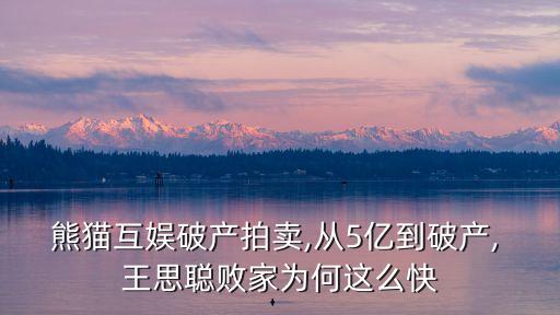 熊貓互娛破產(chǎn)拍賣(mài),從5億到破產(chǎn), 王思聰敗家為何這么快