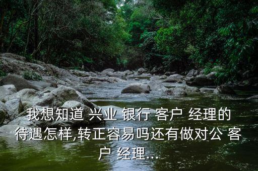 我想知道 興業(yè) 銀行 客戶 經(jīng)理的待遇怎樣,轉正容易嗎還有做對公 客戶 經(jīng)理...
