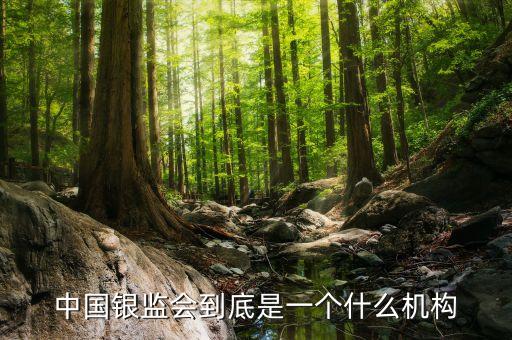 中國(guó)銀監(jiān)會(huì)到底是一個(gè)什么機(jī)構(gòu)