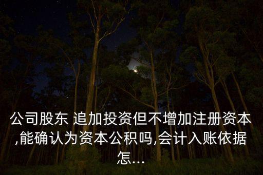 投資者對企業(yè)追加投資業(yè)務涉及