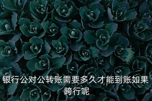 中國(guó)銀行跨行實(shí)時(shí)付款