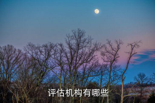  評估機構(gòu)有哪些