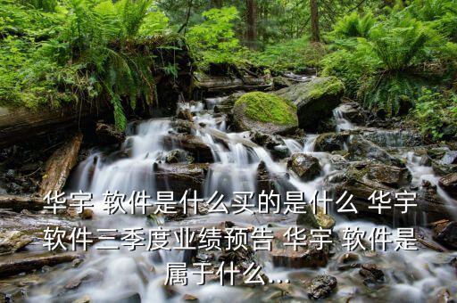 華宇 軟件是什么買的是什么 華宇 軟件三季度業(yè)績(jī)預(yù)告 華宇 軟件是屬于什么...