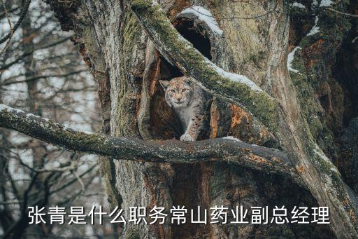 內(nèi)蒙古石藥集團,石藥集團的恐怖