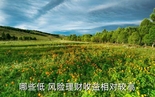 哪些低 風(fēng)險(xiǎn)理財(cái)收益相對較高