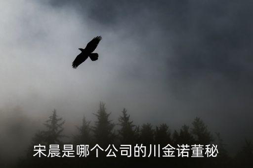 宋晨是哪個公司的川金諾董秘