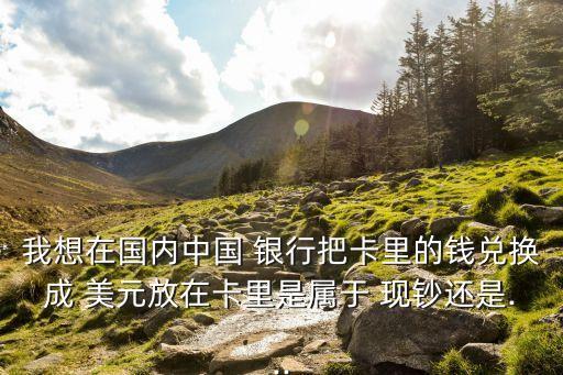 我想在國內中國 銀行把卡里的錢兌換成 美元放在卡里是屬于 現鈔還是...