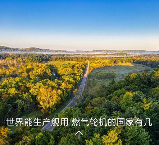 世界能生產(chǎn)艦用 燃?xì)廨啓C(jī)的國家有幾個(gè)