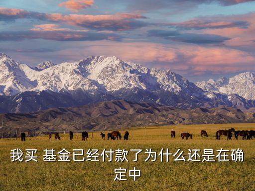 購(gòu)買(mǎi)基金什么時(shí)候生效,當(dāng)天購(gòu)買(mǎi)基金凈值按什么時(shí)候的