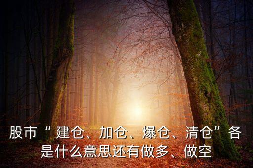 股市“ 建倉、加倉、爆倉、清倉”各是什么意思還有做多、做空