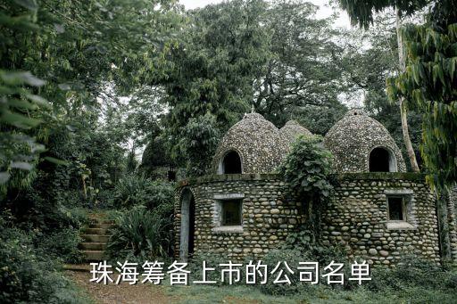  珠?；I備上市的公司名單