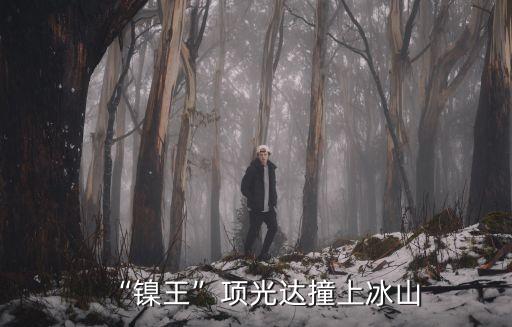 “鎳王”項(xiàng)光達(dá)撞上冰山
