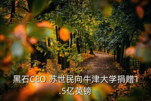 蘇世民項(xiàng)目長(zhǎng)久基金,類(lèi)似蘇世民書(shū)院的項(xiàng)目