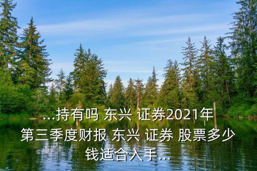 ...持有嗎 東興 證券2021年第三季度財(cái)報(bào) 東興 證券 股票多少錢(qián)適合入手...