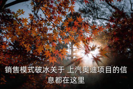 銷售模式破冰關于 上汽奧迪項目的信息都在這里