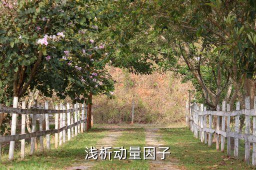 淺析動(dòng)量因子