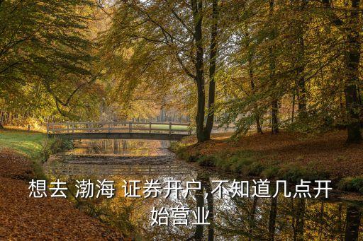 想去 渤海 證券開戶,不知道幾點(diǎn)開始營(yíng)業(yè)