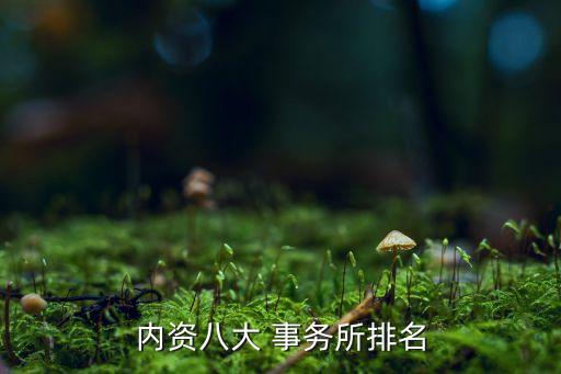 內(nèi)資八大 事務所排名