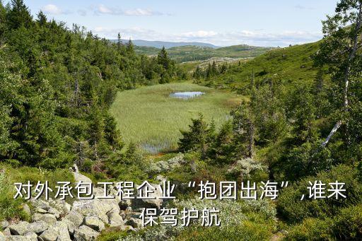對外承包工程企業(yè)“抱團(tuán)出海”,誰來保駕護(hù)航
