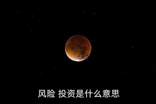  風(fēng)險 投資是什么意思