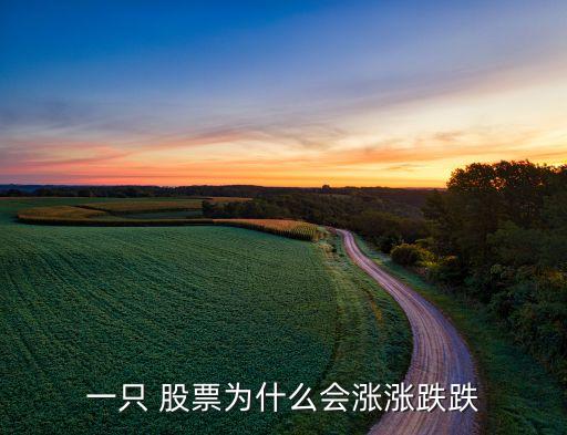 一只 股票為什么會漲漲跌跌