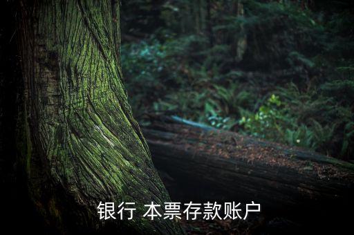 開(kāi)出的本票可以存別人的銀行嗎