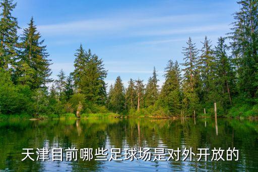  天津目前哪些足球場是對外開放的