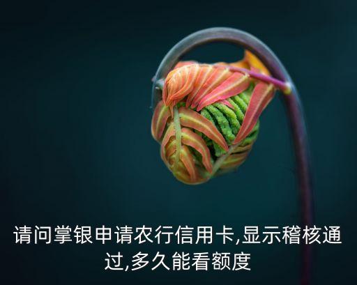 請(qǐng)問(wèn)掌銀申請(qǐng)農(nóng)行信用卡,顯示稽核通過(guò),多久能看額度