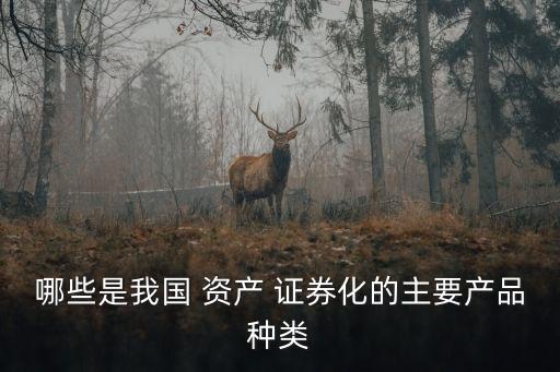 哪些是我國(guó) 資產(chǎn) 證券化的主要產(chǎn)品種類(lèi)
