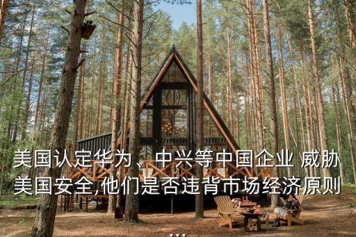 美國認定華為、中興等中國企業(yè) 威脅美國安全,他們是否違背市場經濟原則...