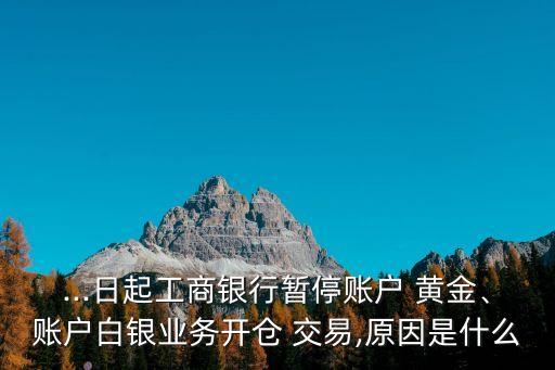 ...日起工商銀行暫停賬戶 黃金、賬戶白銀業(yè)務(wù)開倉 交易,原因是什么