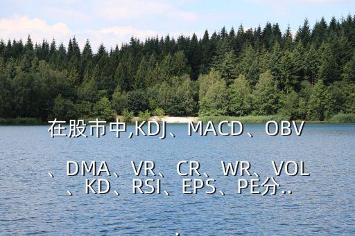 在股市中,KDJ、MACD、OBV、DMA、VR、CR、WR、VOL、KD、RSI、EPS、PE分...