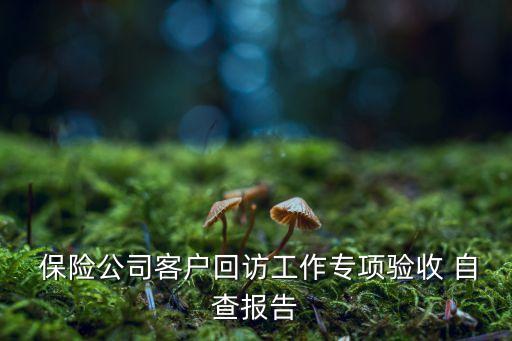  保險公司客戶回訪工作專項(xiàng)驗(yàn)收 自查報告