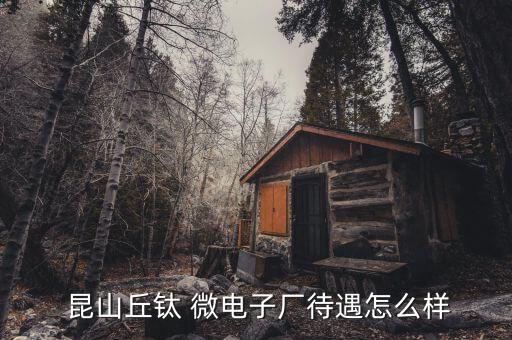 昆山西鈦微電子有限公司,昆山丘鈦微電子有限公司的詳細地址