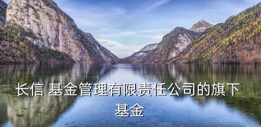 長(zhǎng)信 基金管理有限責(zé)任公司的旗下 基金