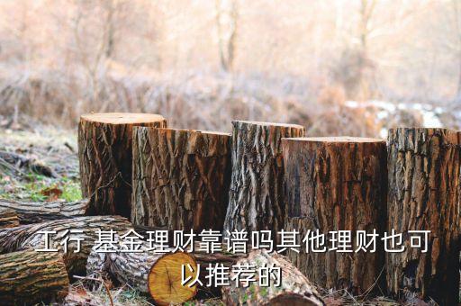  工行 基金理財(cái)靠譜嗎其他理財(cái)也可以推薦的