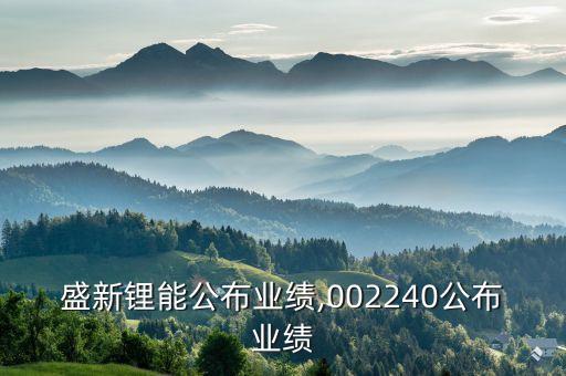 盛新鋰能公布業(yè)績,002240公布業(yè)績
