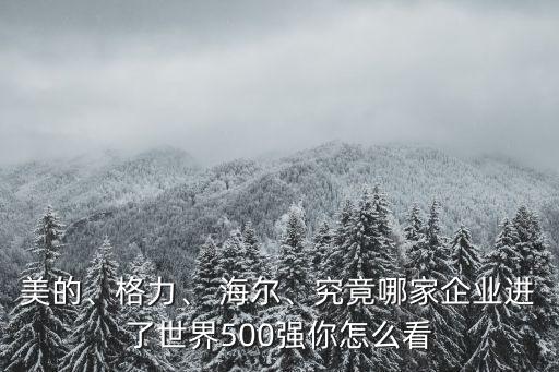 美的、格力、 海爾、究竟哪家企業(yè)進(jìn)了世界500強(qiáng)你怎么看