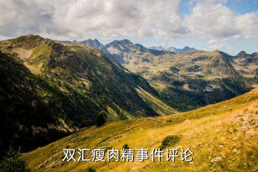 雙匯瘦肉精事件評論