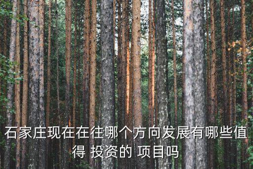 石家莊現(xiàn)在在往哪個方向發(fā)展有哪些值得 投資的 項(xiàng)目嗎