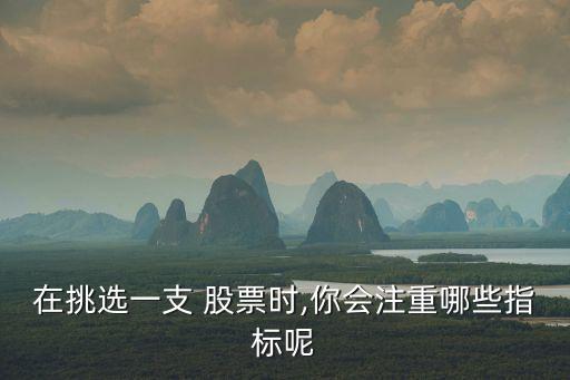 在挑選一支 股票時,你會注重哪些指標呢