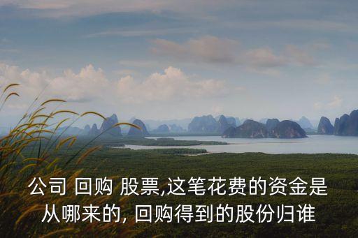 公司 回購 股票,這筆花費的資金是從哪來的, 回購得到的股份歸誰