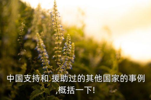 中國對巴基斯坦的最大援助,巴基斯坦和中國誰最大