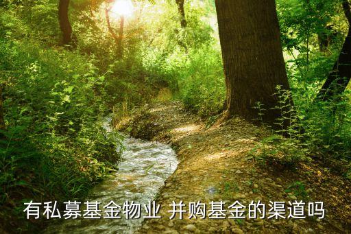 2012中國并購,中國公司并購案例