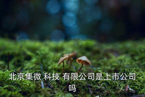北京集微 科技 有限公司是上市公司嗎