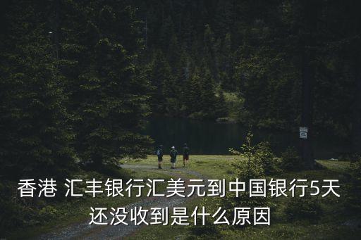 匯豐銀行匯款未入賬,轉(zhuǎn)賬到匯豐銀行沒(méi)入賬