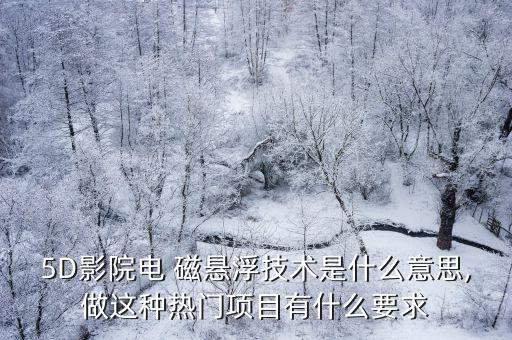 5D影院電 磁懸浮技術(shù)是什么意思,做這種熱門項目有什么要求