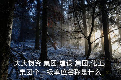 大慶物資 集團(tuán),建設(shè) 集團(tuán),化工 集團(tuán)個(gè)二級單位名稱是什么