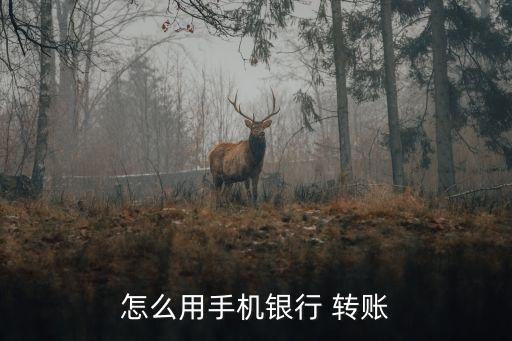 光大銀行app同行轉賬