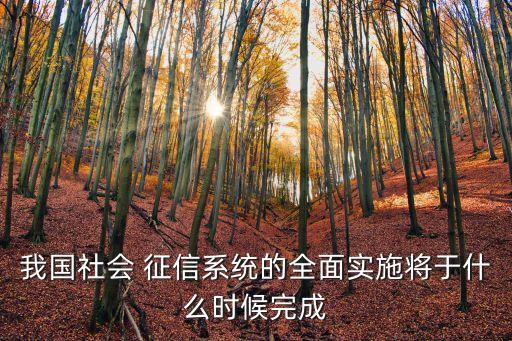 我國社會 征信系統(tǒng)的全面實(shí)施將于什么時(shí)候完成